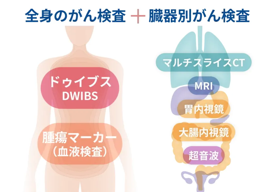全身のがん検査＋臓器別がん検査