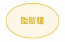 超音波で脂肪腫の位置と大きさを確認する図