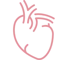 循環器内科